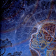 Illustration for article titled How does the Anthropic Principle change the meaning of the universe?